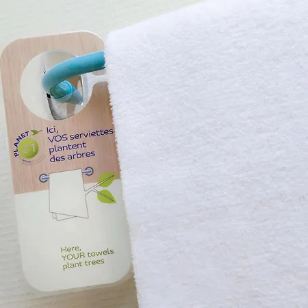 Ibis Budget La Roche Sur Yon Vendespace 2* Муйерон-ле-Каптиф